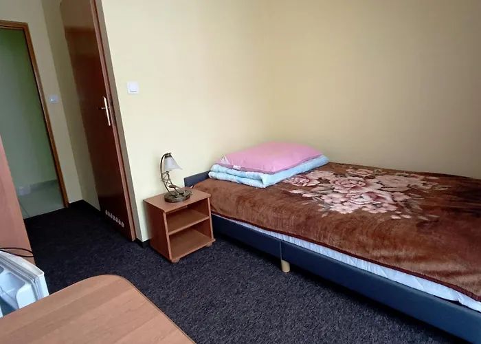 ゲストハウス Delfin -przy Plazy, Widok Na Morze レバル